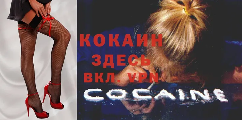 ссылка на мегу tor  Велиж  COCAIN Эквадор 